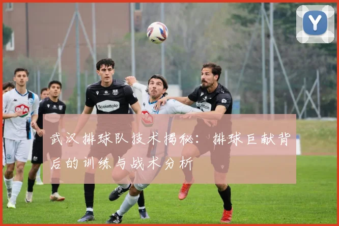 武汉排球队技术揭秘：排球巨献背后的训练与战术分析