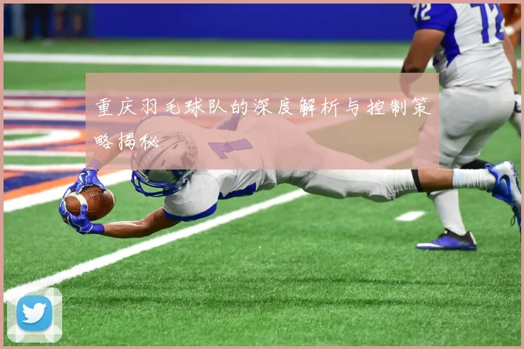 重庆羽毛球队的深度解析与控制策略揭秘